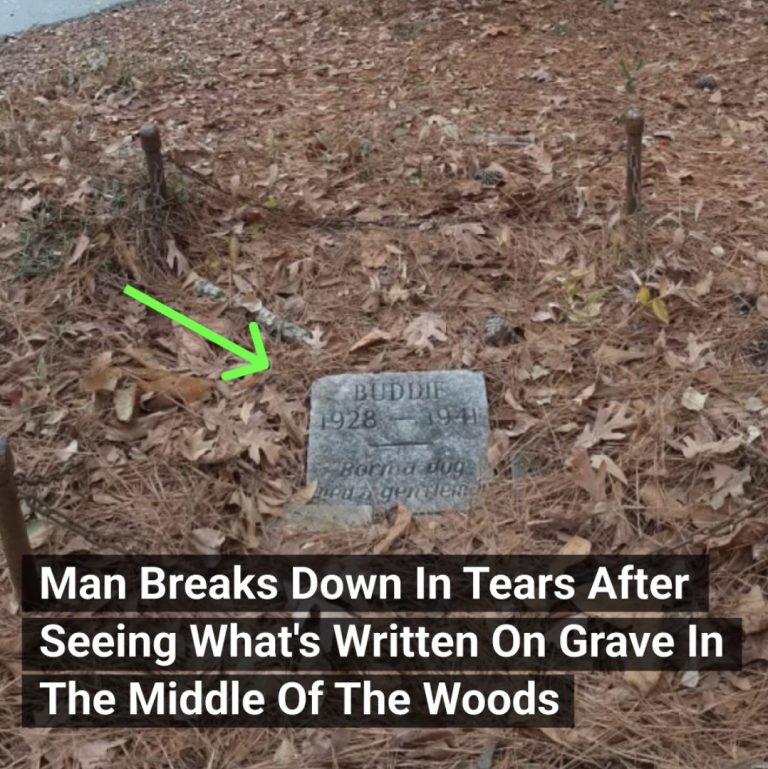 Man Breaks Down In Tears After Seeing What’s Written On Grave In The Middle Of The Woods