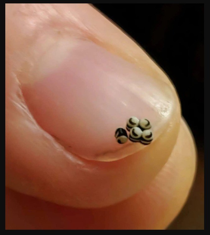 We ordered a salad, but there were tiny black specks in the food