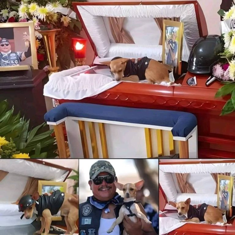 He was filmed walking away from the wreckage.