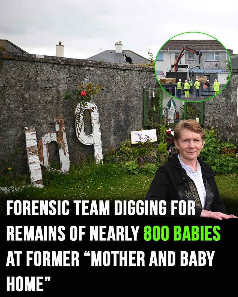 Forensic team digging for remains of nearly 800 babies at former ‘mother and baby home’