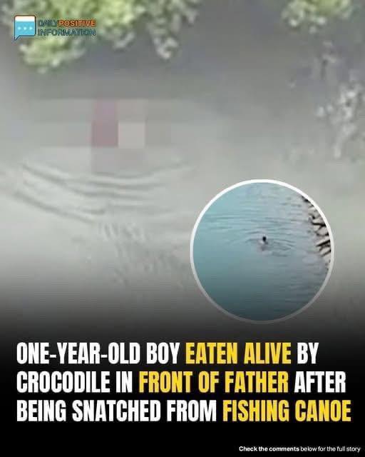 Community Warned To Avoid River After Infant Eaten Alive In Front Of Father