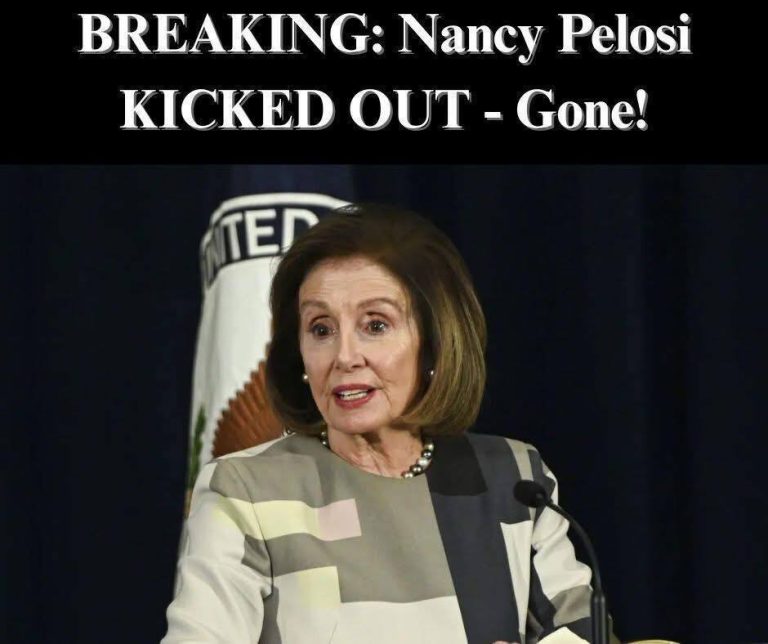 Pelosi Makes Up Fake Sections of Constitution, Dems Nod In Agreement