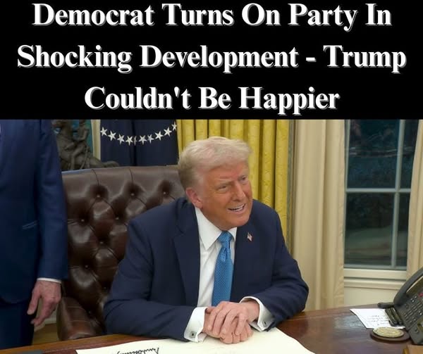 Democrat Shreds His Own Colleagues Over ICE Protests: ‘Political Theater’