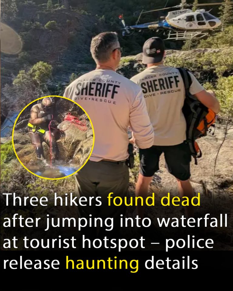 Three hikers found dead after jumping into waterfall