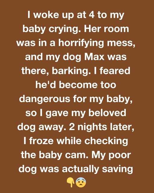 MY DOG WASN’T THE THREAT—HE WAS THE HERO I NEVER UNDERSTOOD