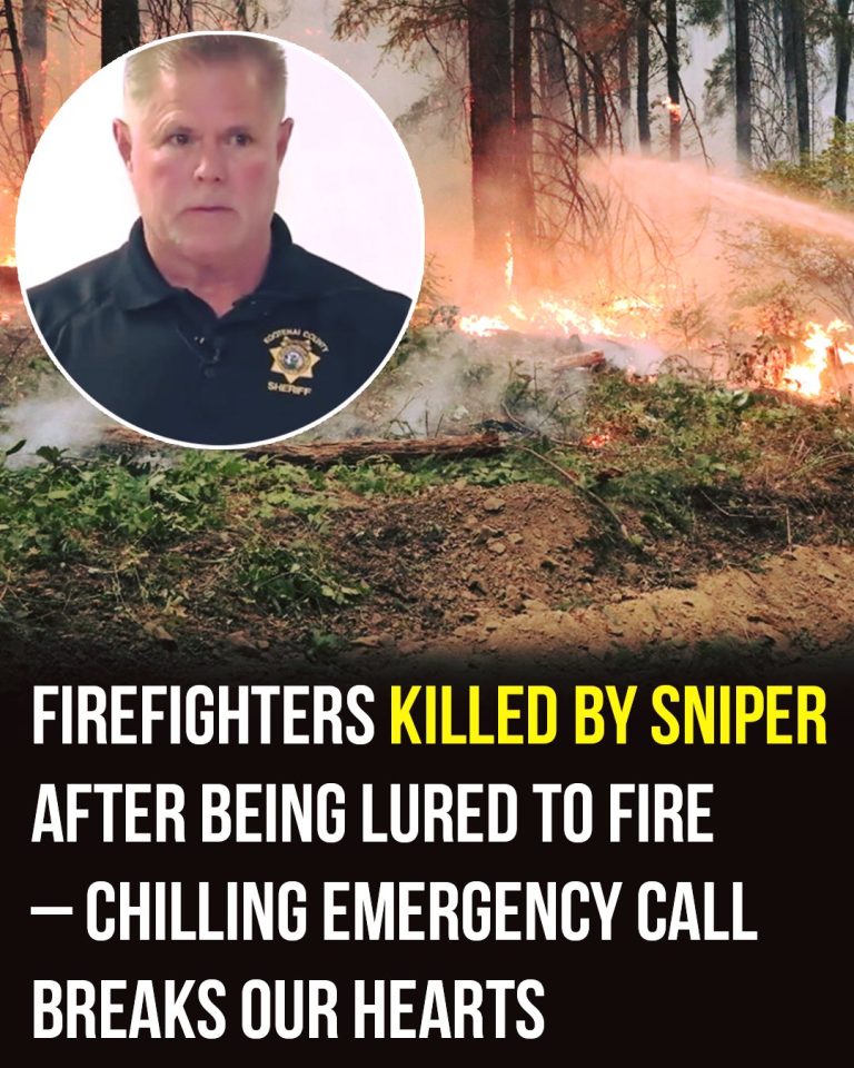 Firefighters killed by sniper after being lured to fire
