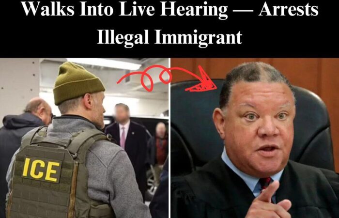 Judge Holds ICE Agent In Contempt For Detaining Illegal Migrant During Trial