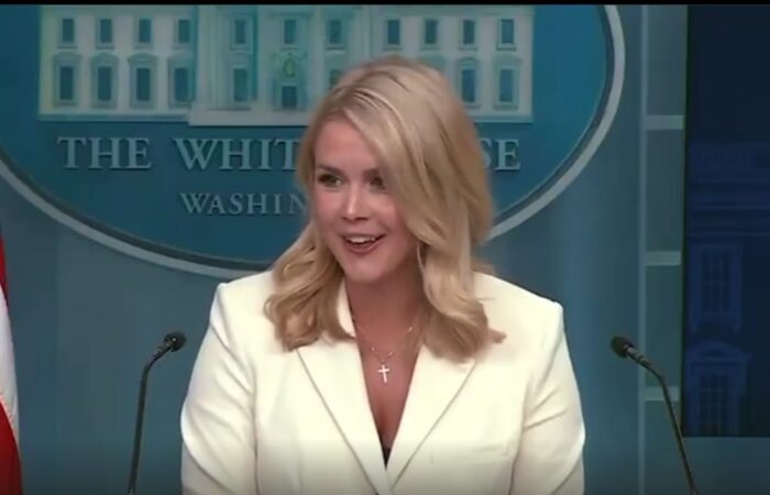 WATCH: Leavitt Confirms DOGE Has Made a “Massive” and “Horrible” Discovery