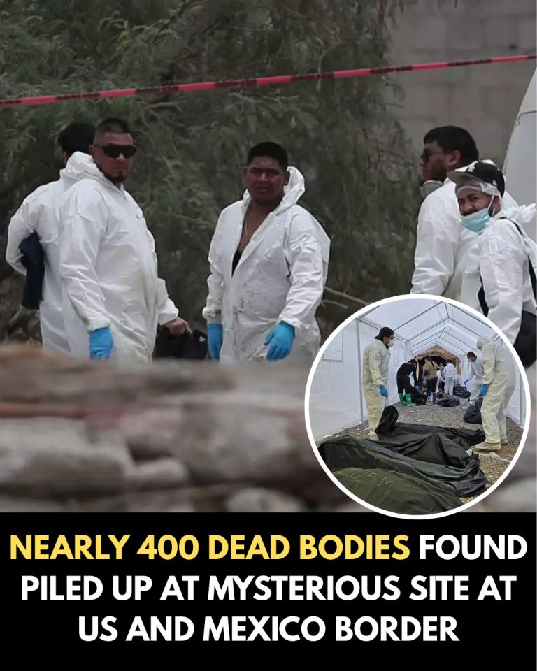Nearly 400 dead bodies found piled up at mysterious site at US and Mexico border