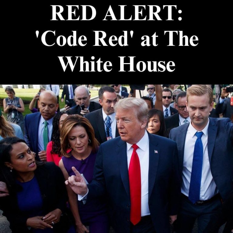 Gingrich Warns Of ‘Very Dangerous’ Consequences as Dems Attack Trump