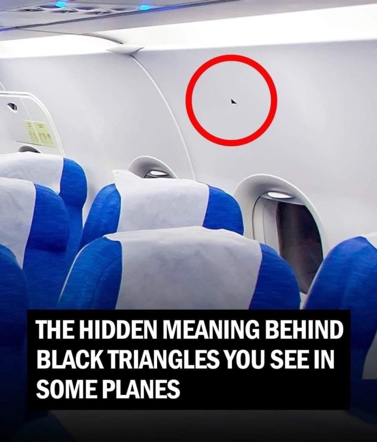What Do the Triangle Stickers Above Your Airplane Seat Mean?