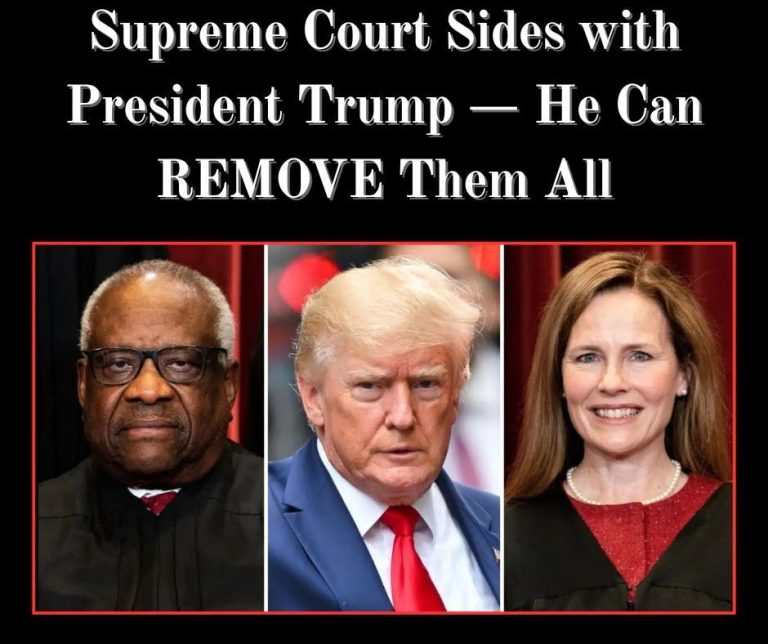 Supreme Court Sides With Trump On Firing of Three Democrat Appointees