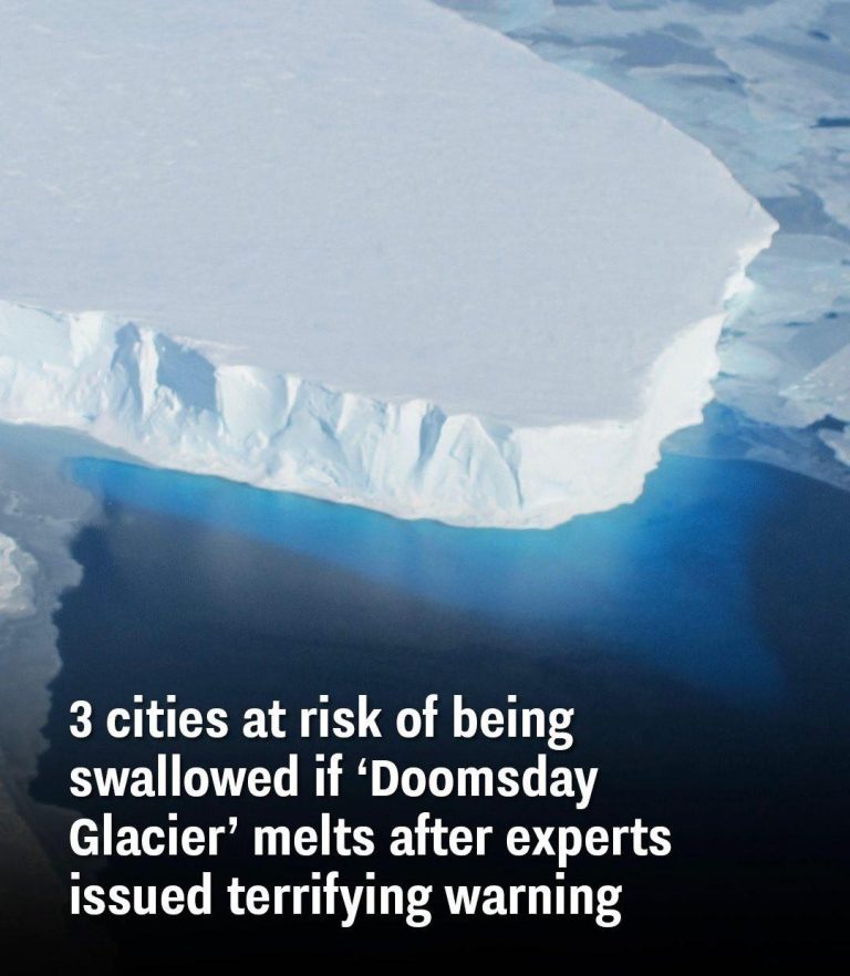 Three major cities face flooding risk if Antarctic glacier collapses, scientists warn