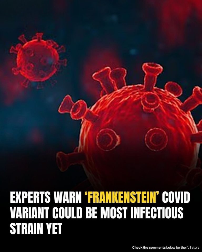 Scientists Warn: Most Infectious Covid Strain Yet Is Now Dominating
