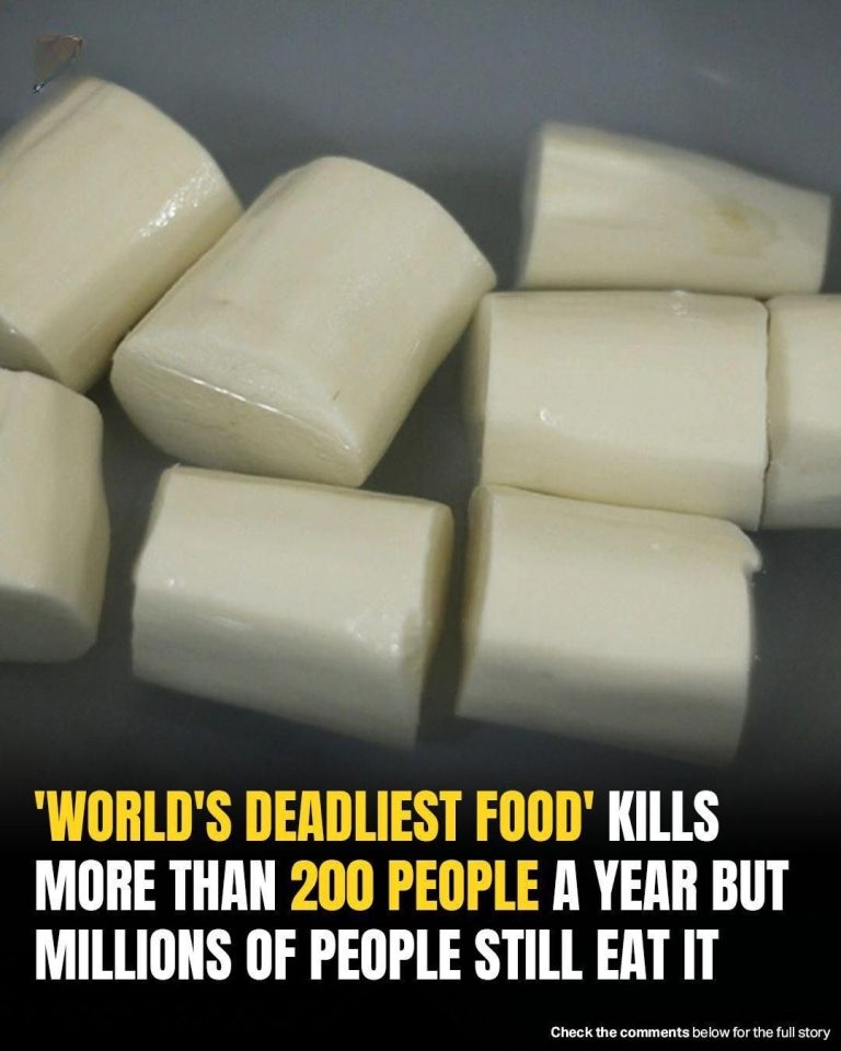 Over 200 People Are Killed By The “World’s Deadliest Food” Every Year, But Almost 500 Million People Still Eat It