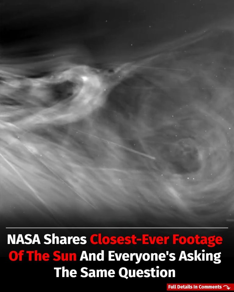 NASA Shares Closest-Ever Footage Of The Sun And Everyone’s Asking The Same Question