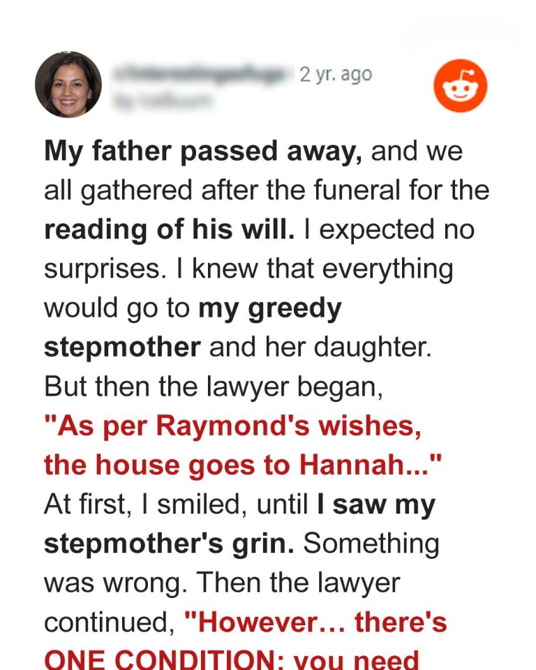 Stepmother Tries to Control Inheritance — Daughter Finds an Unexpected Ally