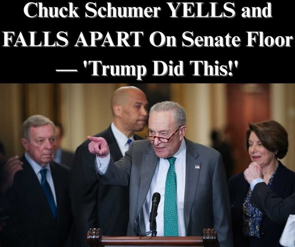 Schumer Used Hours-Long Tactic To Delay ‘Big, Beautiful Bill’ Vote