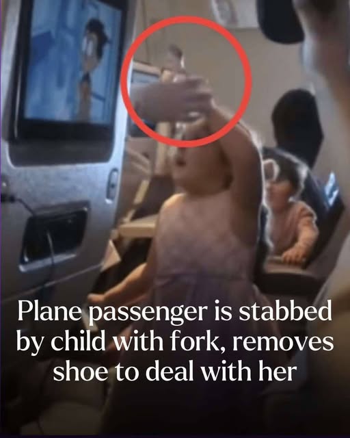 Little girl stabs plane passenger with fork — gets shoe threat in return