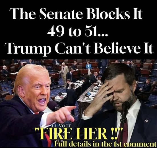 Senate Passes $9 Billion Budget Rollback as Focus on Government Efficiency Grows