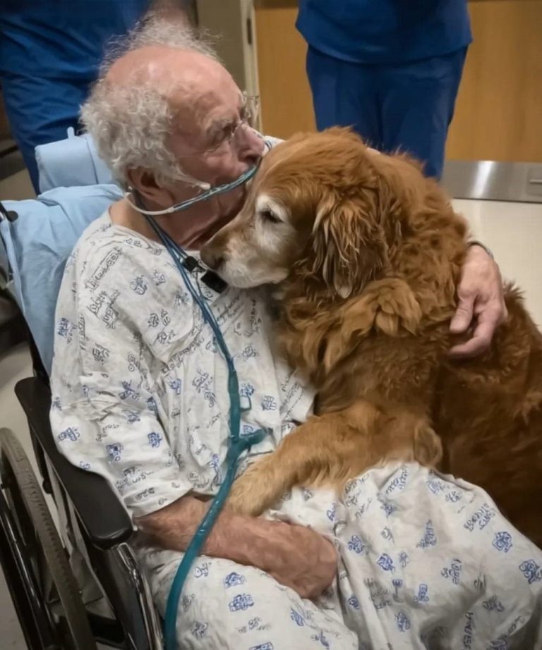 The Patient Kept Plea for Murphy, A Name That Left Everyone Puzzled