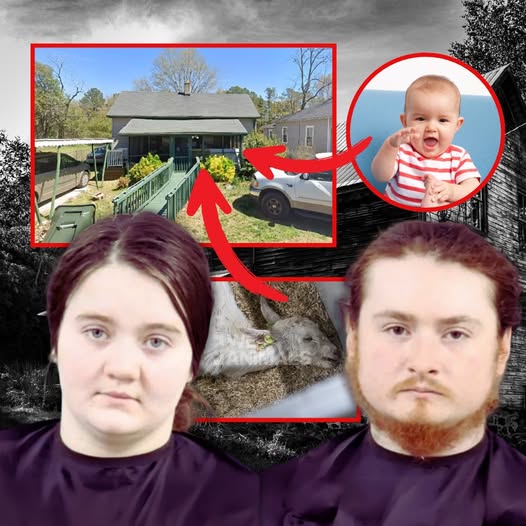 8-Month-Old Baby Found in ‘Horrific Situation’ in Home Filled with Rotting Goat Carcass, Waste and 47 Animals