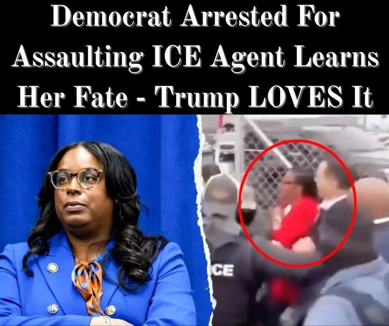 House Republican Motions to Censure, Remove Democrat Charged In ICE Confrontation