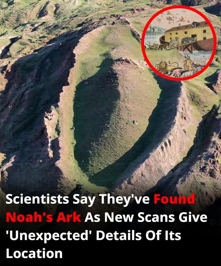 Scientists Claim They’ve Found Noah’s Ark As New Scans Reveal Shocking Clues