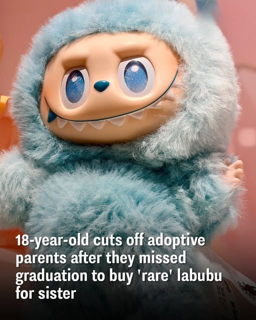 18-year-old cuts off adoptive parents after they missed graduation to buy ‘rare’ labubu for sister