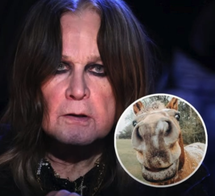 Ozzy Osbourne explained how a horse made him give up LSD before his death aged 76