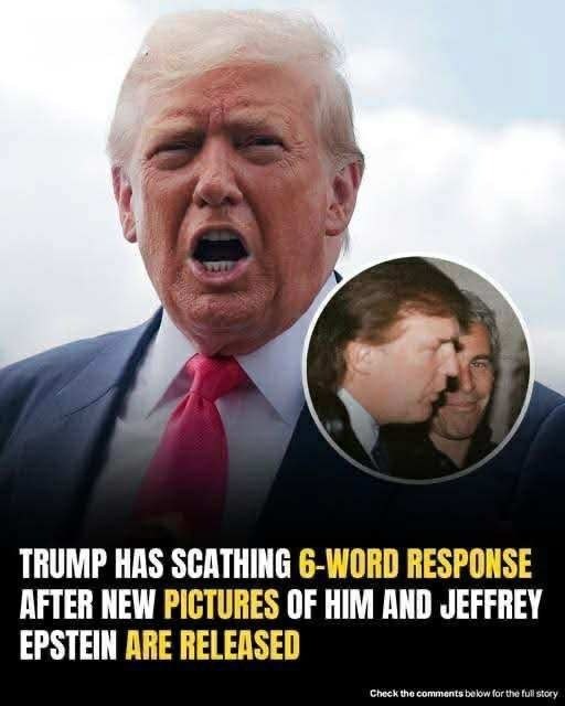 Trump fires back with blunt 6-word statement after Epstein photos resurface
