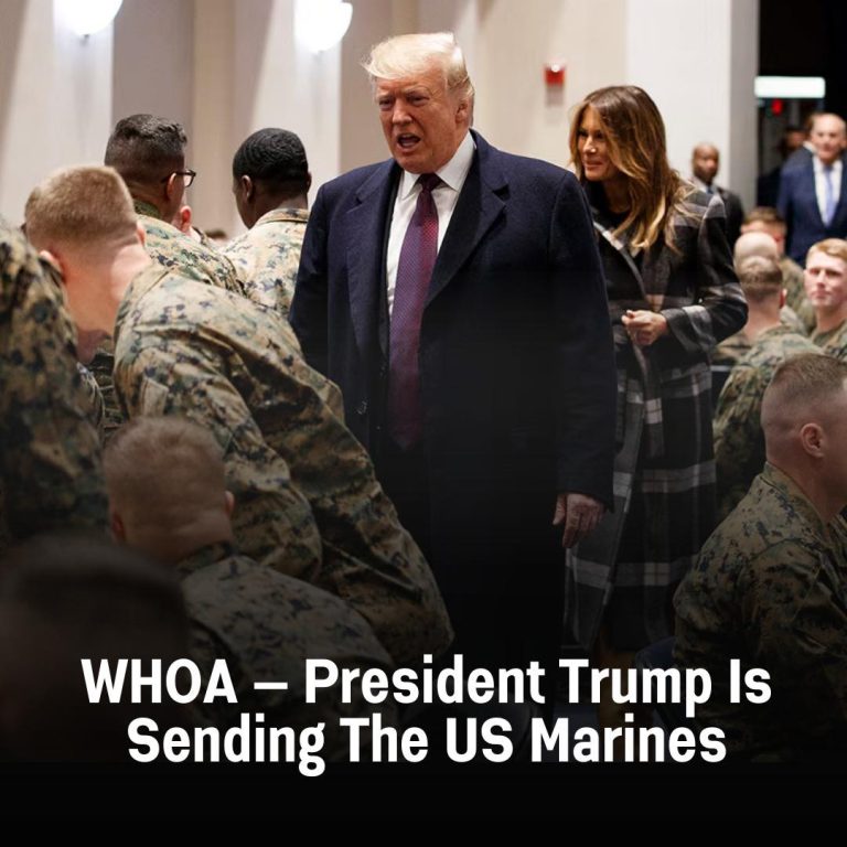 Marines Deployed to Florida as Federal Agencies Coordinate on Immigration Front—But What’s Really Behind the Move?