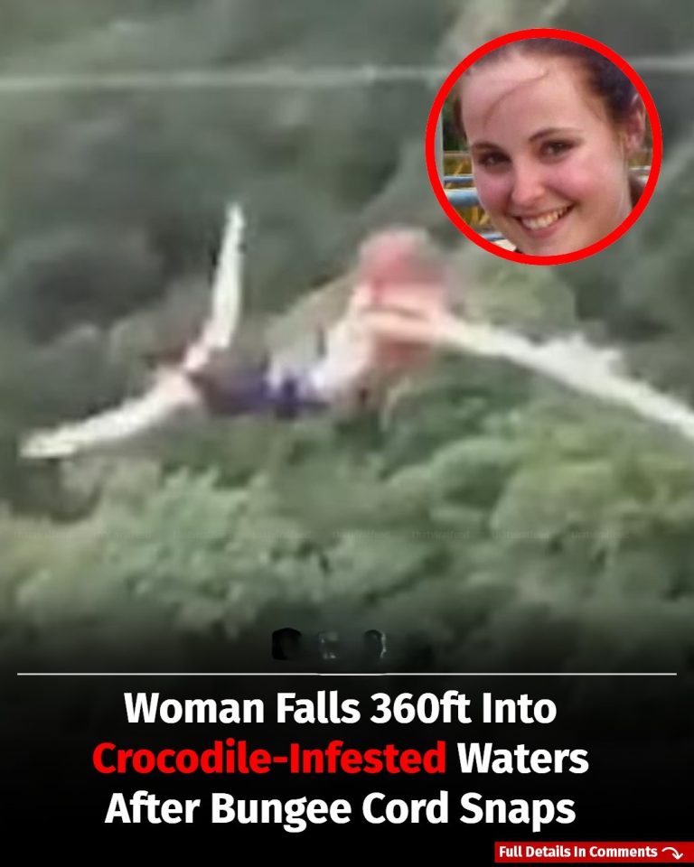 Woman Survives Fall Into Crocodile-Infested River After Bungee Cord Snaps