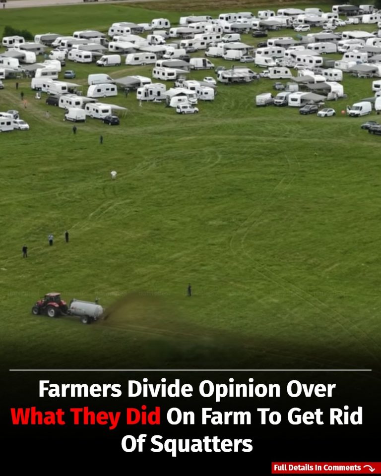 Farmers Divide Opinion With Their Bold Move To Remove Caravans