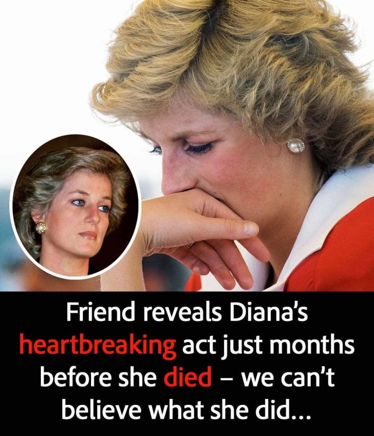 Why Diana spent her last Christmas alone with reheated meal