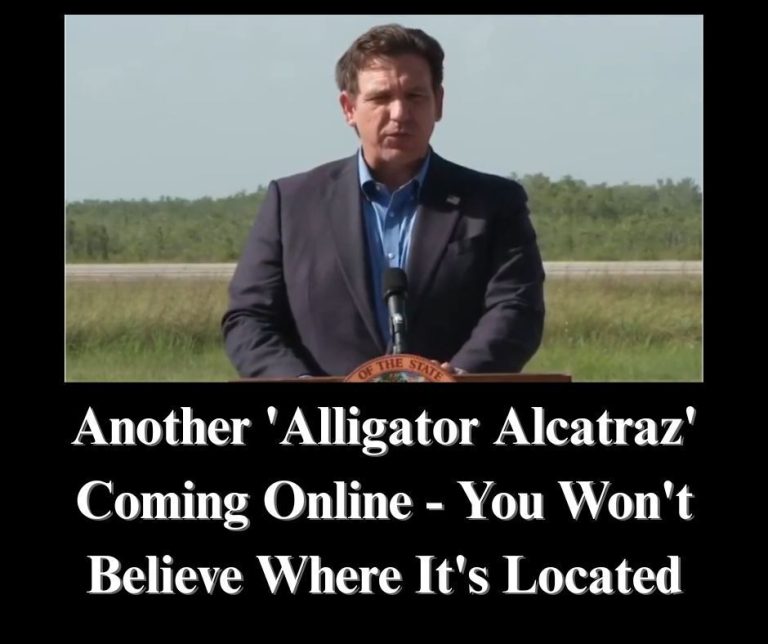 Another GOP-Controlled State Launching ‘Alligator Alcatraz’ for Illegal Migrants
