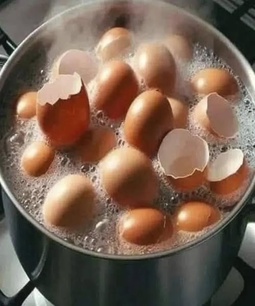 Don’t Toss Those Eggshells: 17 Ways to Reuse Them