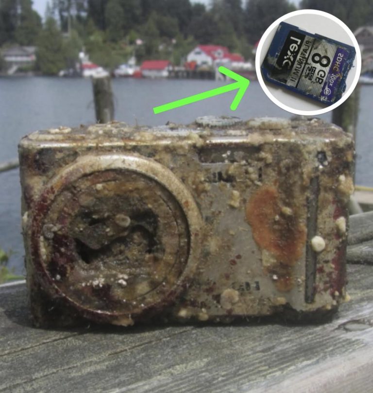 Diver Develops Film From Camera Found At Bottom Of Sea, Freezes Up When He Sees Face
