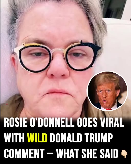 Donald Trump rigged the 2024 vote, according to Rosie O’Donnell