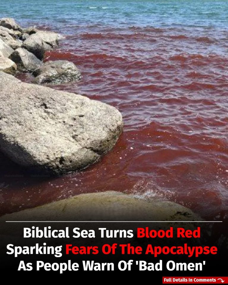 Biblical Sea Turns Blood Red, Stirring Apocalypse Fears And Warnings Of A ‘Bad Omen’