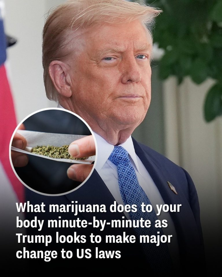 What marijuana does to your body minute-by-minute as Trump looks to make major change to US laws