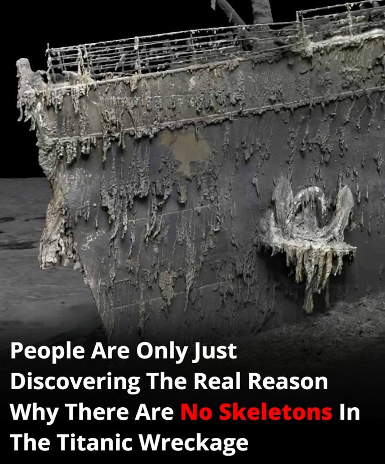 Why There Are No Skeletons Found In The Titanic Wreckage