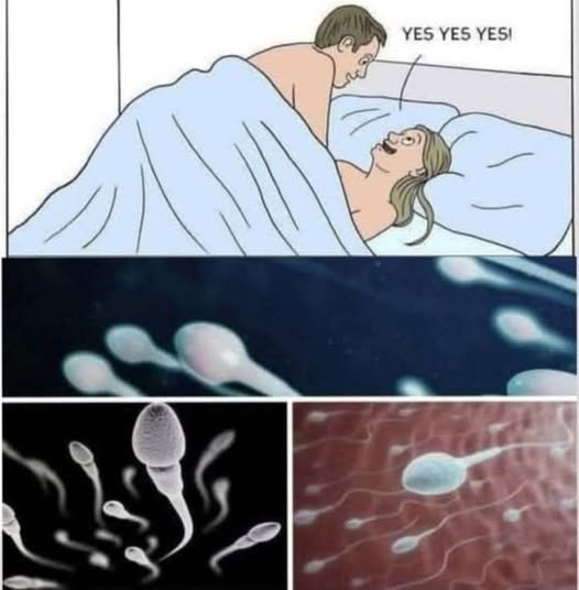 Surprising Study Findings About Intimate Health and Relationships