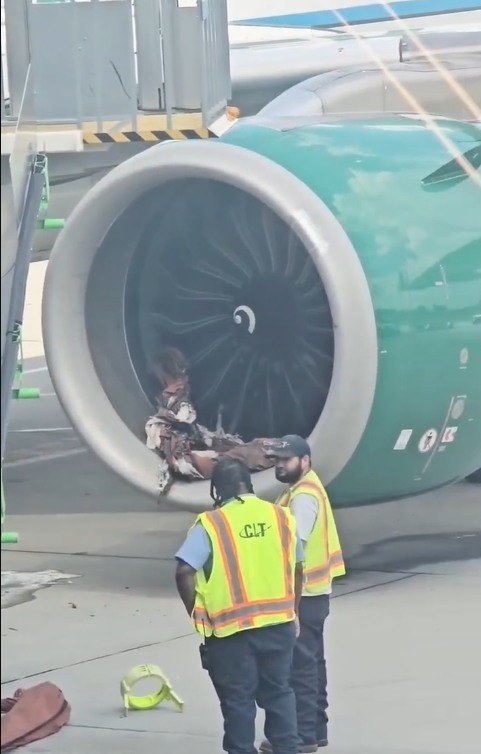 HORROR ON THE TARMAC, A Frontier planes engine shredded!