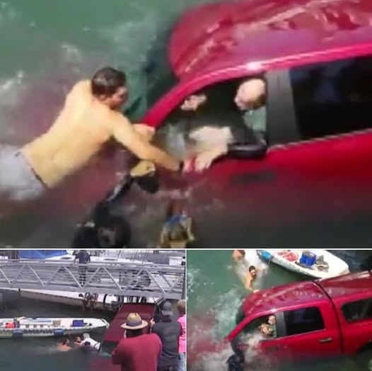 Good Samaritans Restored Faith In Humanity By Rescuing Drowning Elders And Their Pet Chihuahua