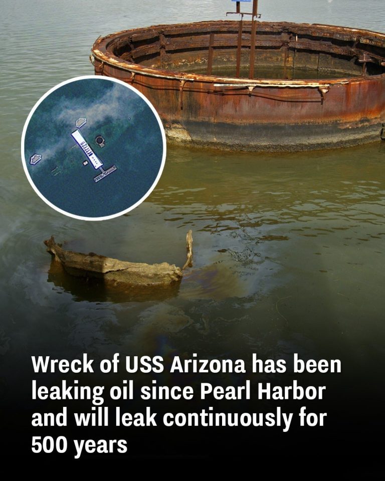 Oil Constantly Leaks From The USS Arizona. Is That An Environmental Problem?