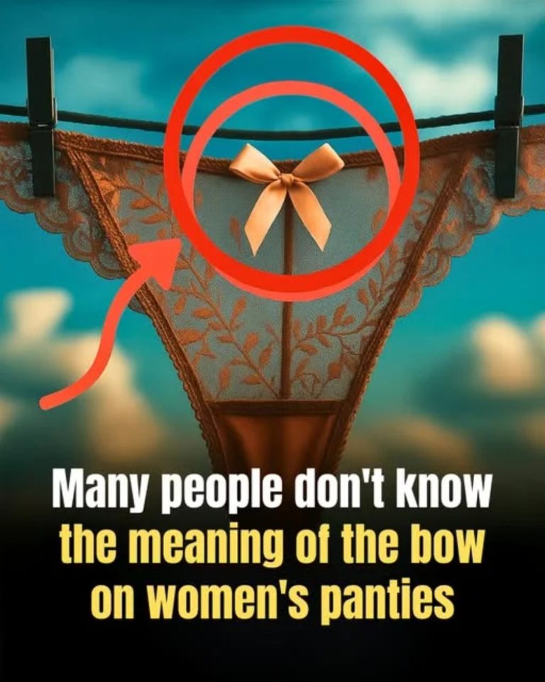 Understanding the Difference Between Panties With and Without