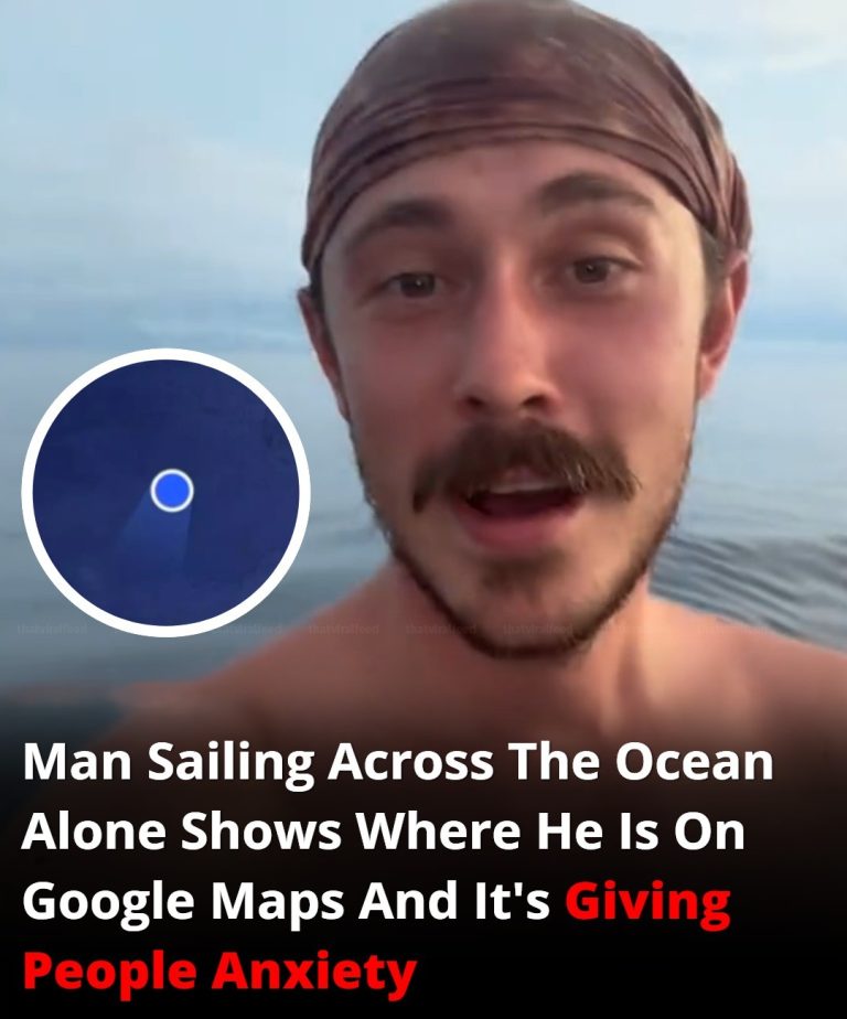 A Solo Sailor Shared His Live Location On Google Maps Is Causing Anxiety Among Viewers