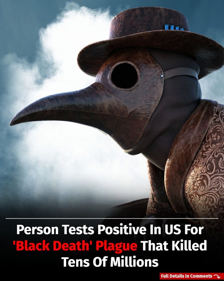Person In US Tests Positive For ‘Black Death’ Plague That Once Killed Millions