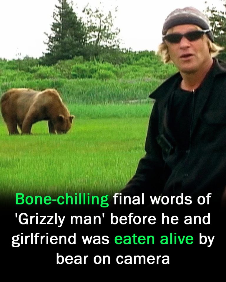 Final words of ‘Grizzly man’ before he was eaten alive